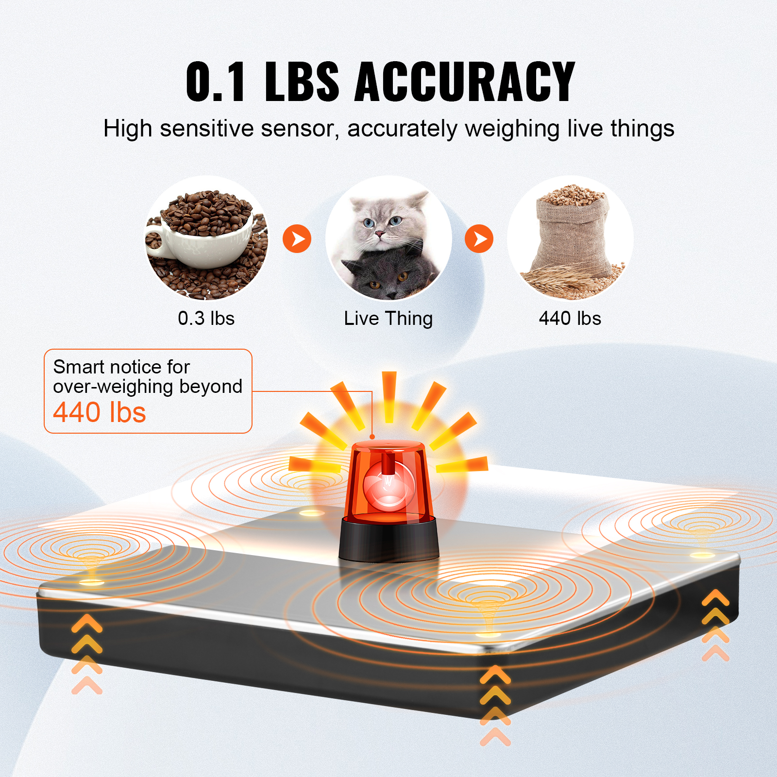 SucceBuy 440lbs Digital Shippi – Home Office X Post recenzja i cena