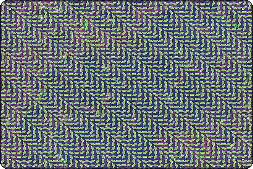 Animal Collective - Merriweath – Home Office X Post recenzja i cena